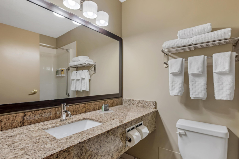 Bathroom 4, Best Western Plus Red Deer Inn & Suites, Division No. 8
