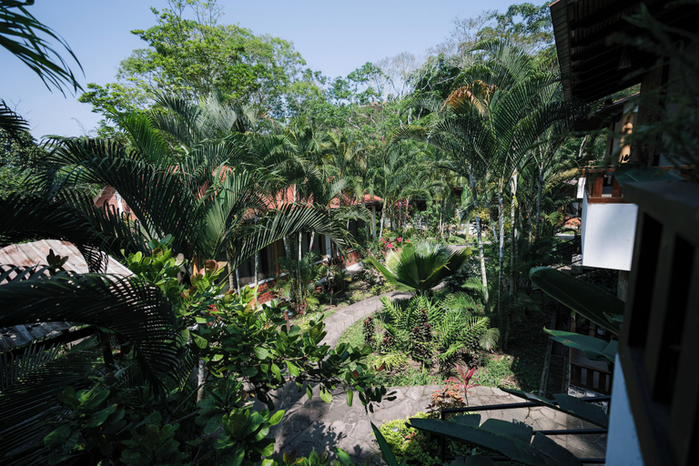 View from room 4, Villa Lu Amazon Lodge, San Martín
