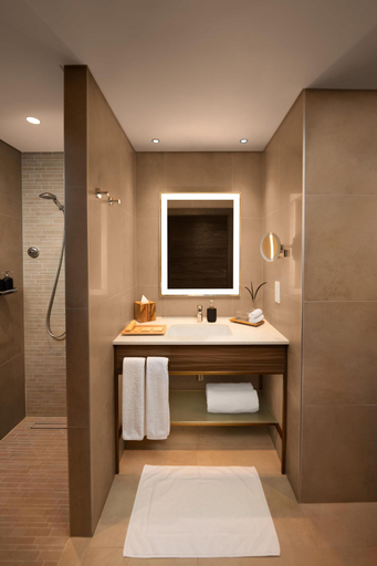 Bathroom 4, Turtle Bay Resort, Umluj
