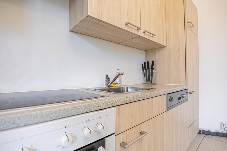 Private kitchen 2, Spacious 1BR Apt Near Danube, Wien