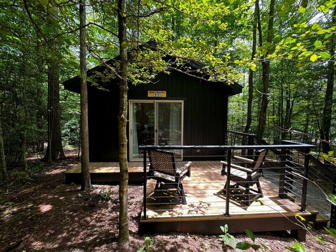Primary image, Couples Glamping Cabin - Bearly Behaving, Transylvania