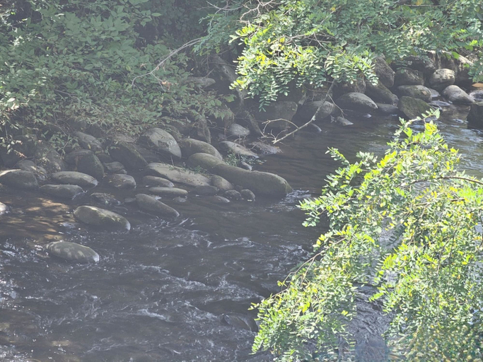 Balcony view, River's Edge, Sevier
