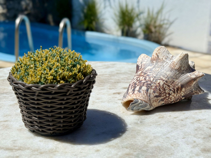 Food & Drinks 4, Oceana Suites Villas de Tibau, Tibau do Sul