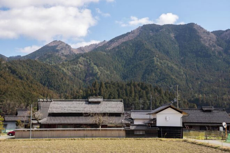 Exterior 2, tehen -roots stay-, Kyoto