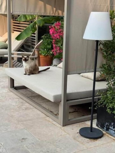 Property grounds 2, Maison Jacotte, Vaucluse