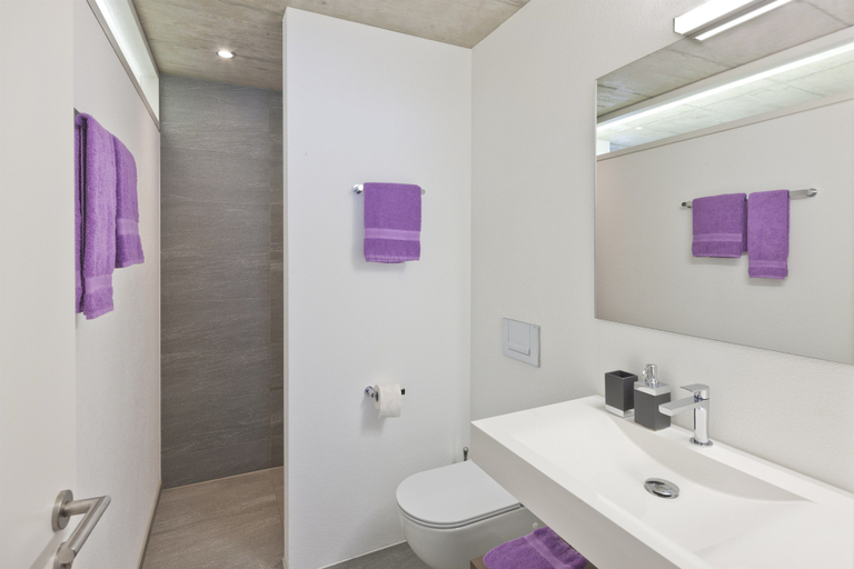 Bathroom 4, Sera Lodge, Visp