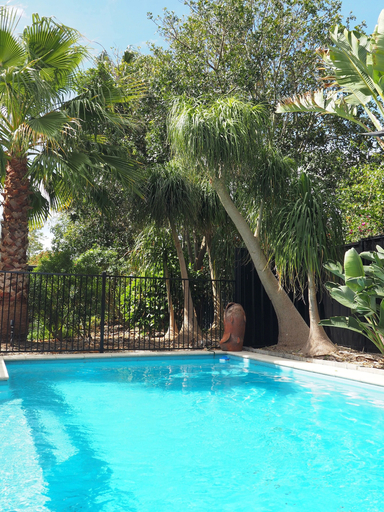 Pool, Palm Springs retreat Hunter Valley, Cessnock
