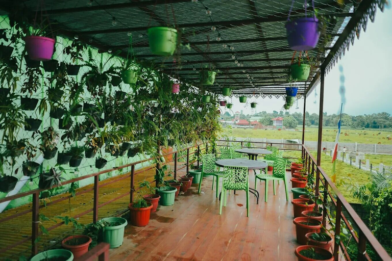Food & Drinks 5, Green Vista Resort & Restro Cloudway, Jalpaiguri
