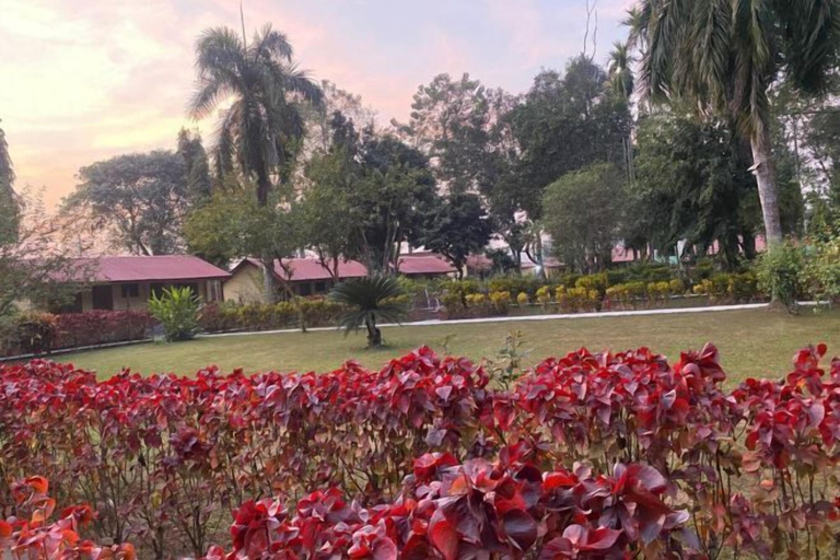 Interior 4, Chitwan Park Resort, Narayani