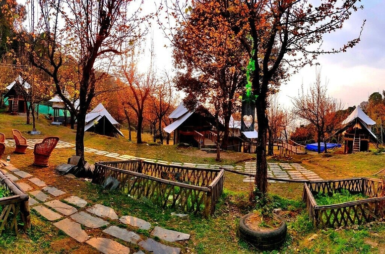 Others 4, Camp Oak View, Kangra