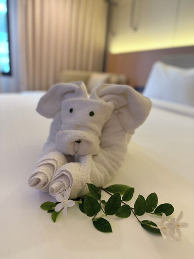 Room 3, Star Hotel Pattaya, Pattaya