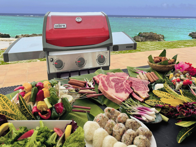 BBQ/picnic area, St. Maire YORON, Yoron