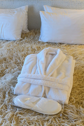 Room 3, NISHANI BOUTIQUE MOTEL, Municipiul Bucuresti