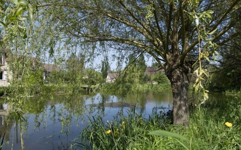 Others 3, holistica, Yonne