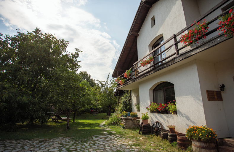 Exterior & Views 2, Casa Mosului, Cartisoara