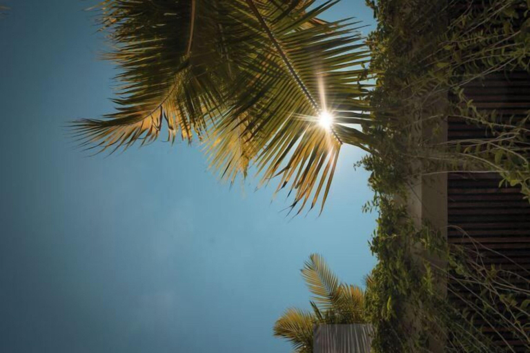 Property grounds 4, Award-Winning 3BR Villa 25m Pool Villa FEH, Badung