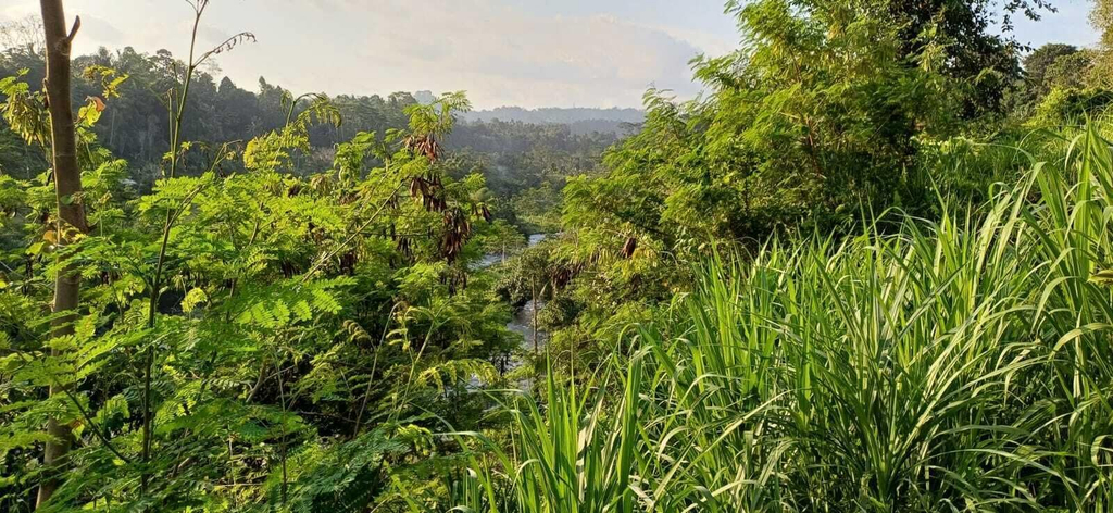 Exterior 3, The green Sidemen, Karangasem