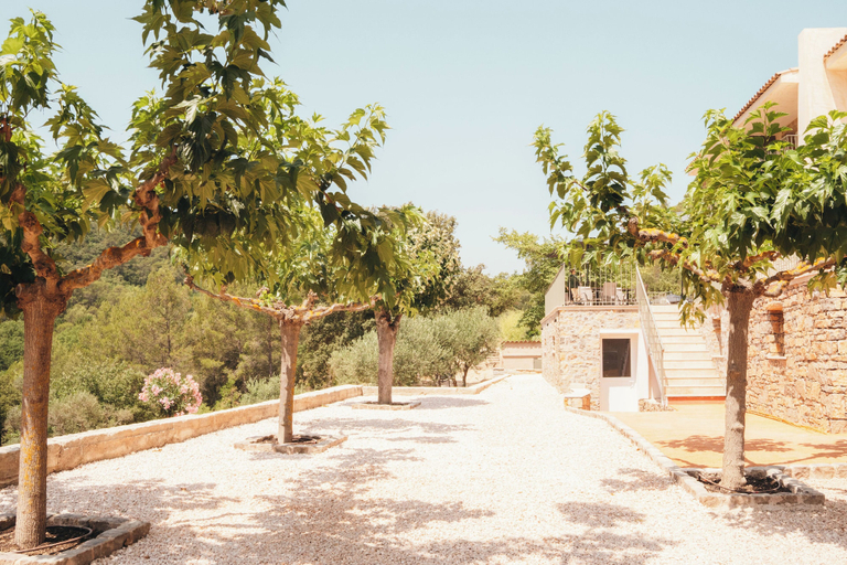 Exterior 2, Le Domaine du Piaou, Var