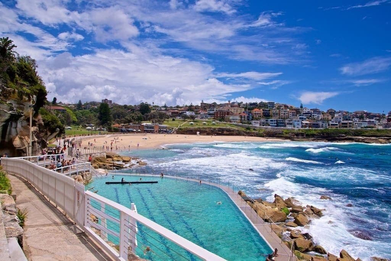 Sport & Beauty, A Modern Beach Studio, 5min Walk to Bondi Beach, Sydney
