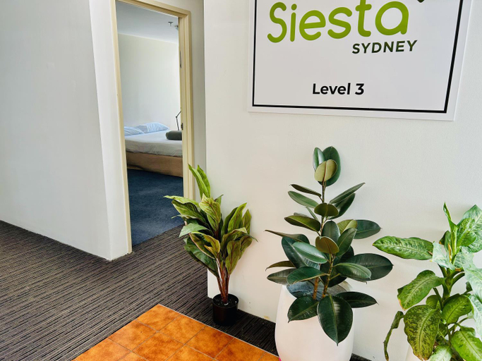 Others 5, Siesta Sydney, Sydney