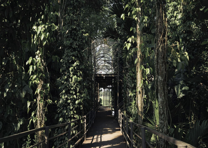 Room 4, Irroi Kaziranga, Golaghat