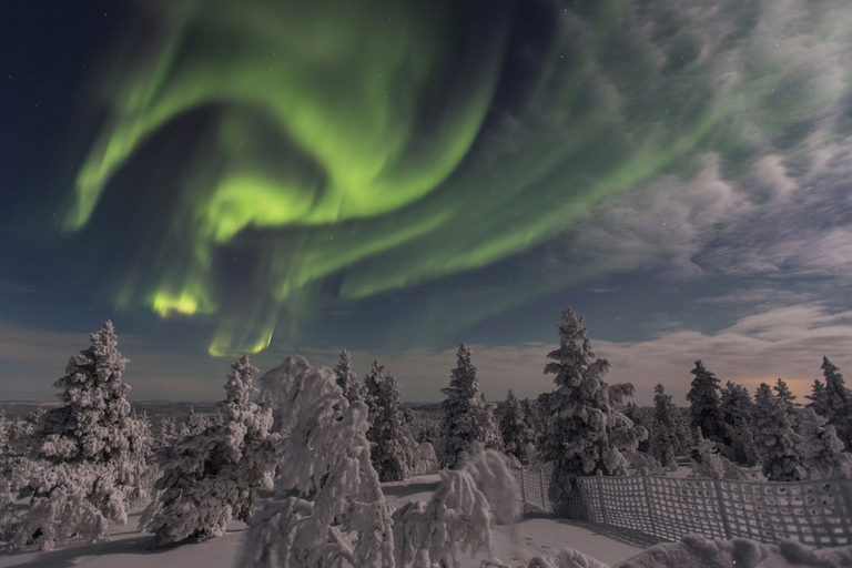 Snow and ski sports, Sielikkö Aurora Log Villas, Lapland