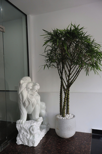 Interior detail 4, The Grand Diamond C Hotel, Việt Yên