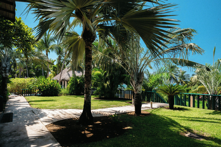 Others 5, Bungalows Oasis, Dist. Pochutla