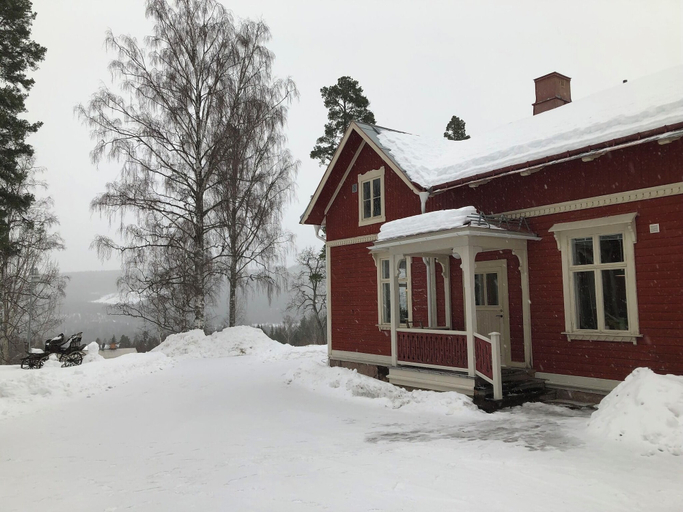 Primary image