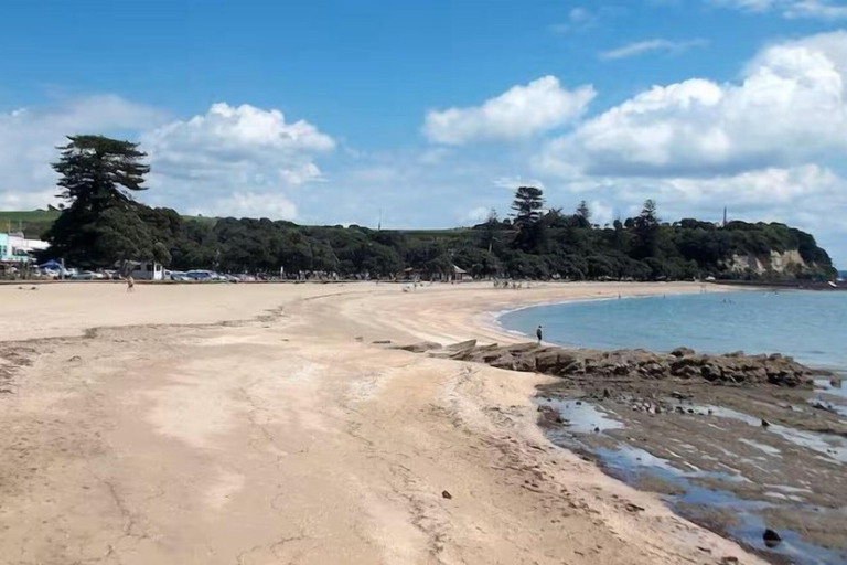 Beach, Atkin Boutique, Waitakere