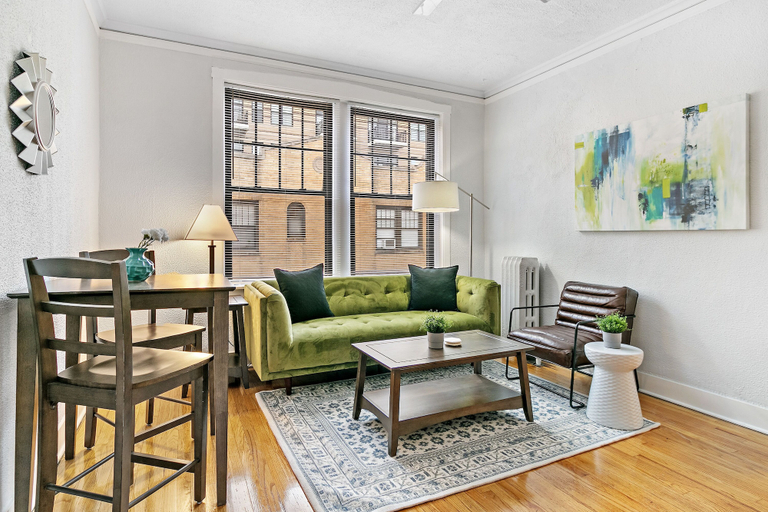 Others 5, 1BR Magnificent Apt in Belmont Chicago, Cook