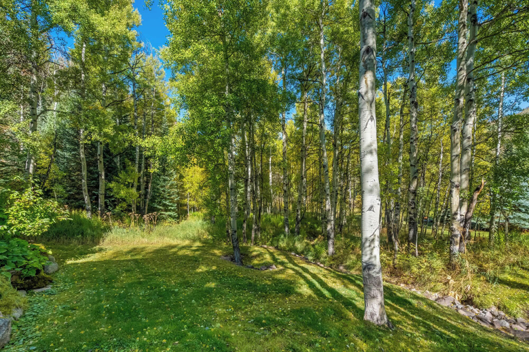 View from room, Evergreen Escape – Home for 10, Eagle