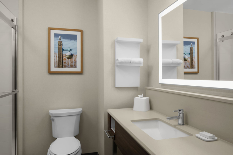 Bathroom 4, Hampton Inn & Suites By Hilton Long Island Farmingdale, Suffolk