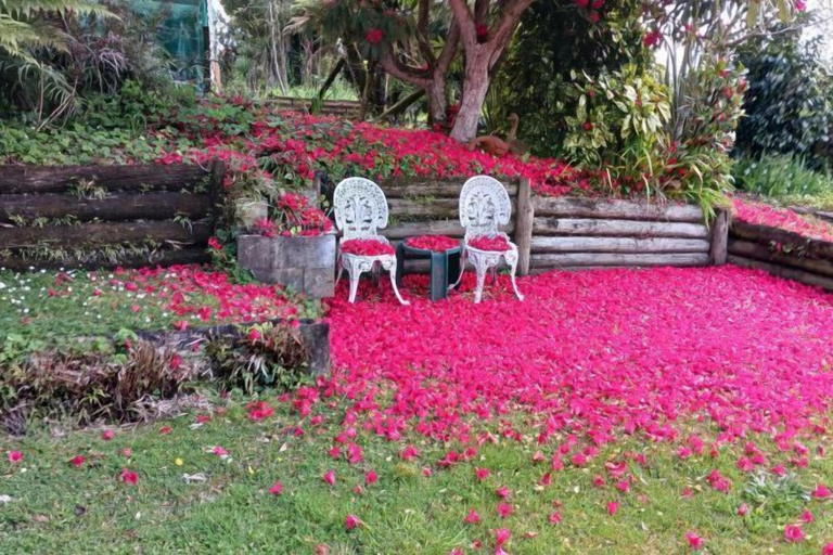 Others 5, Magpie Cottage - Homestay B&B, Ruapehu