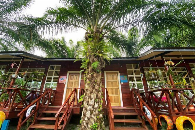 Exterior & Views 2, Together Palm Resort, Semporna