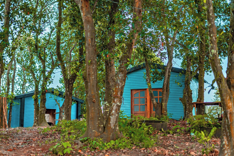 Front of property 4, Wildwood Island Resort, Parbattya Chattagram