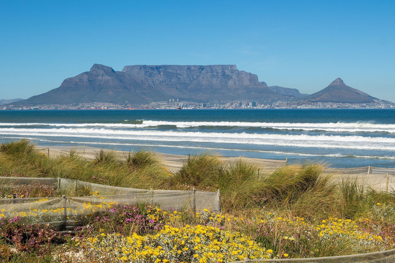 Interior 5, Cape on Popham 21B, City of Cape Town