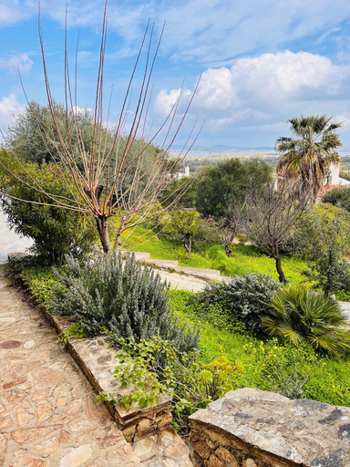 Exterior 5, Camera Acquario - Villa Flores, Nuoro