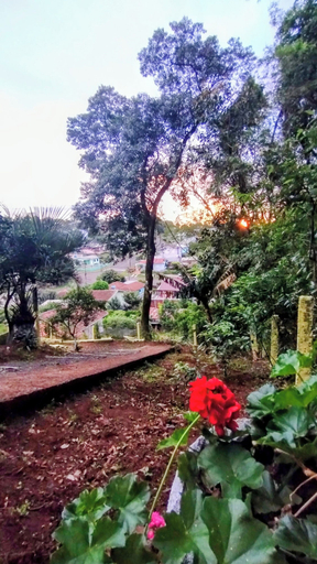 Terrace/patio 2, Pousada Altos da Natureza, Maravilha