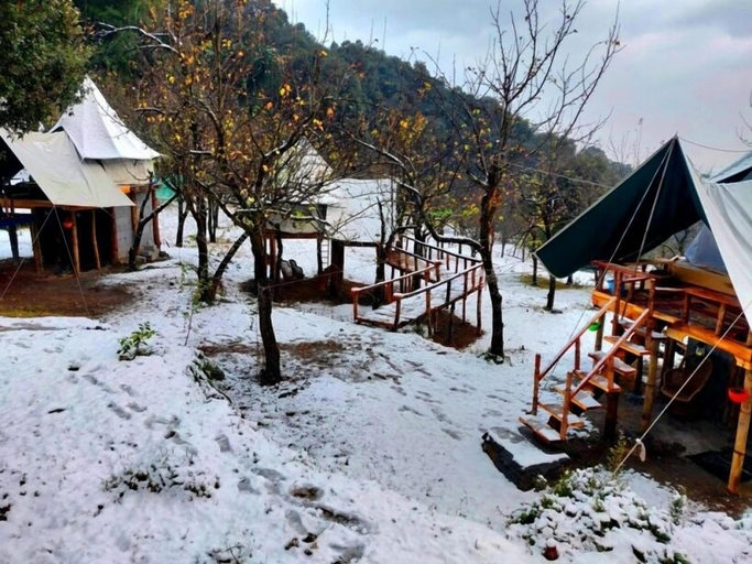 Others 5, Camp Oak View, Kangra