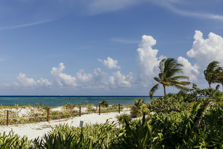 Beach, New Casa Paradise Ocean View 2 Bedroom Apts, Cozumel