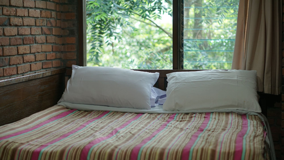 Room 2, The Pinewood Lodge & Organic Farm, Bogor