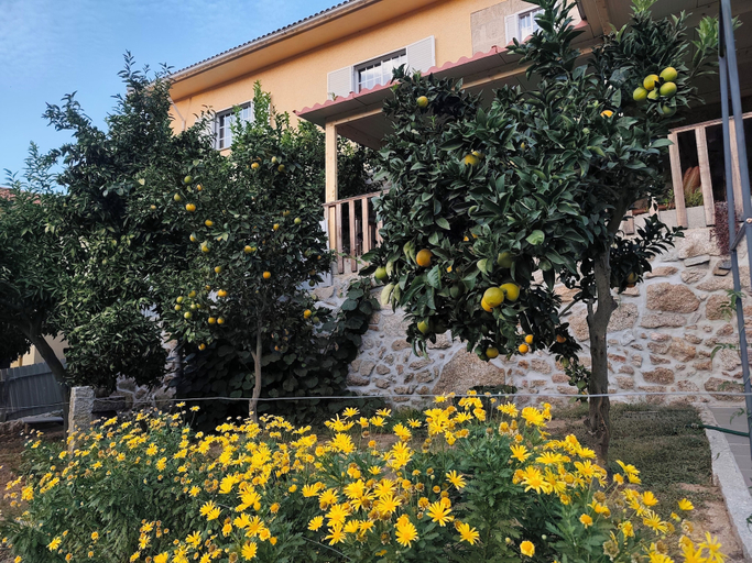 Garden view, Quinta Cunha, São Pedro do Sul