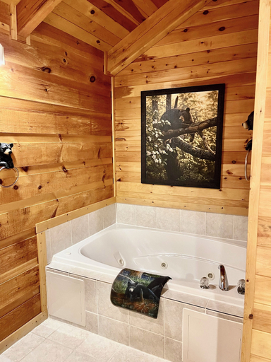 Bathroom 2, Beary Cuddly, Sevier