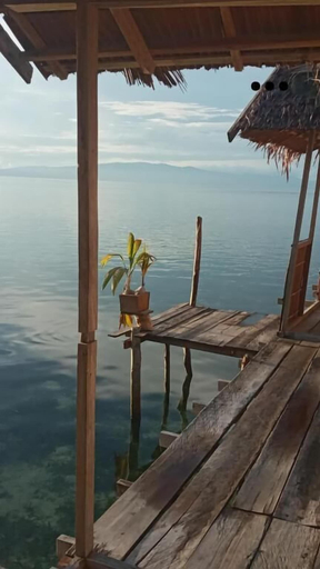 Front of property 3, Arborek Dive Homestay