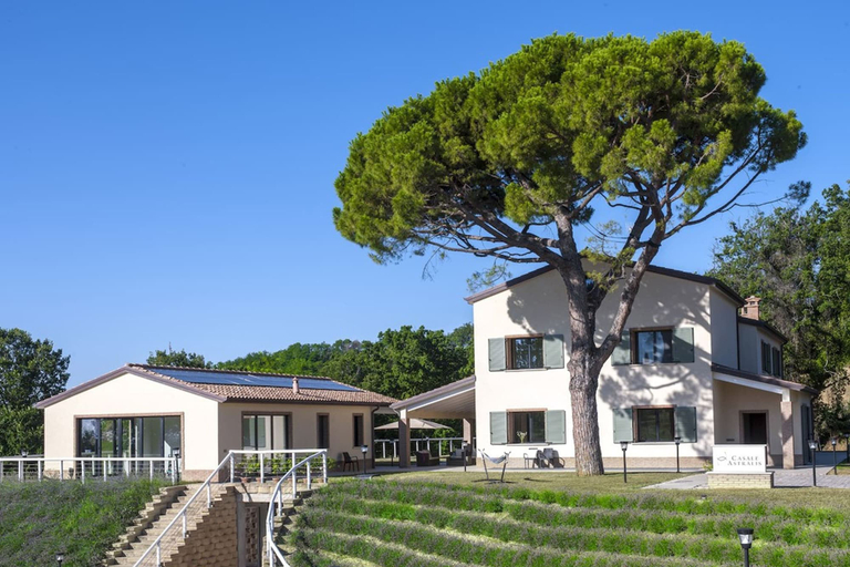 Room 5, Casale Astralis 13 in Saltara, Pesaro E Urbino