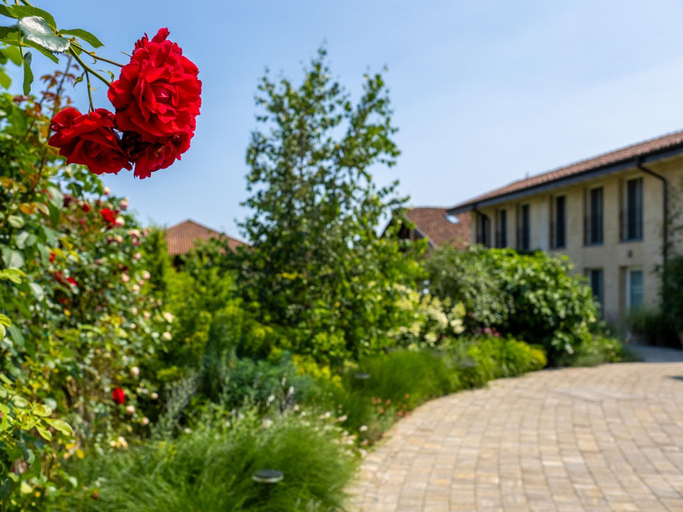 Room 5, Green Lodge - Apartment 11 - 1BR 1 Bath, Novara
