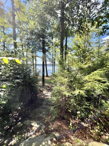 Miscellaneous 3, Bear Point Limit 15 7 Bedroom Villa, Cumberland