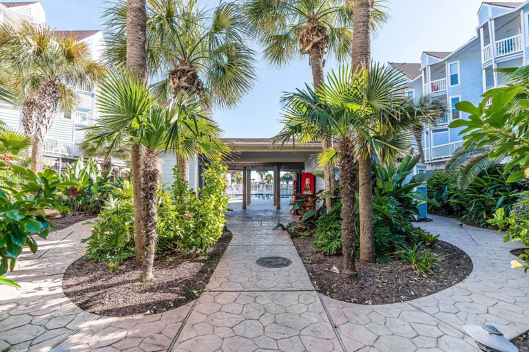 Garden, Get Beach Dazed in Galveston, Galveston