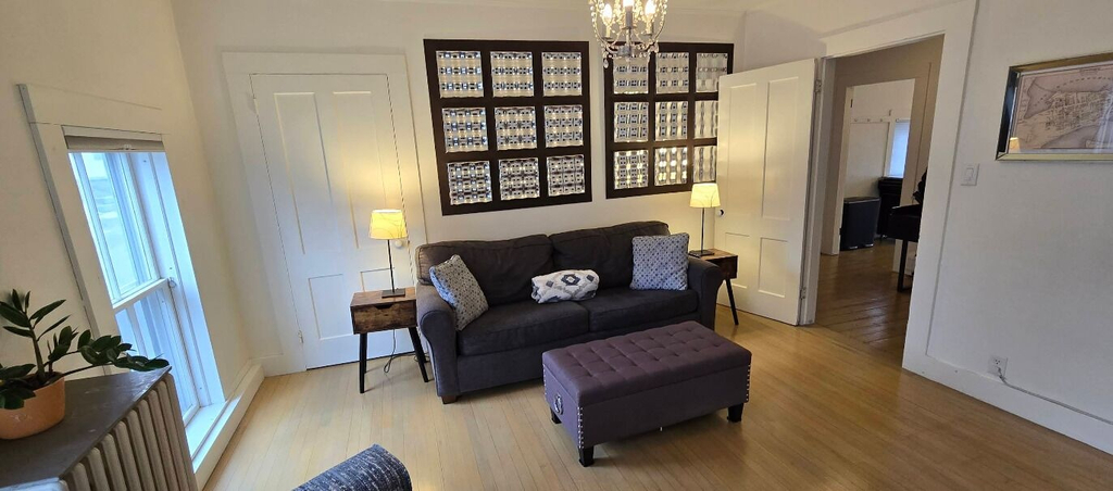 Living area 4, Damselfly Guesthouse, Orleans